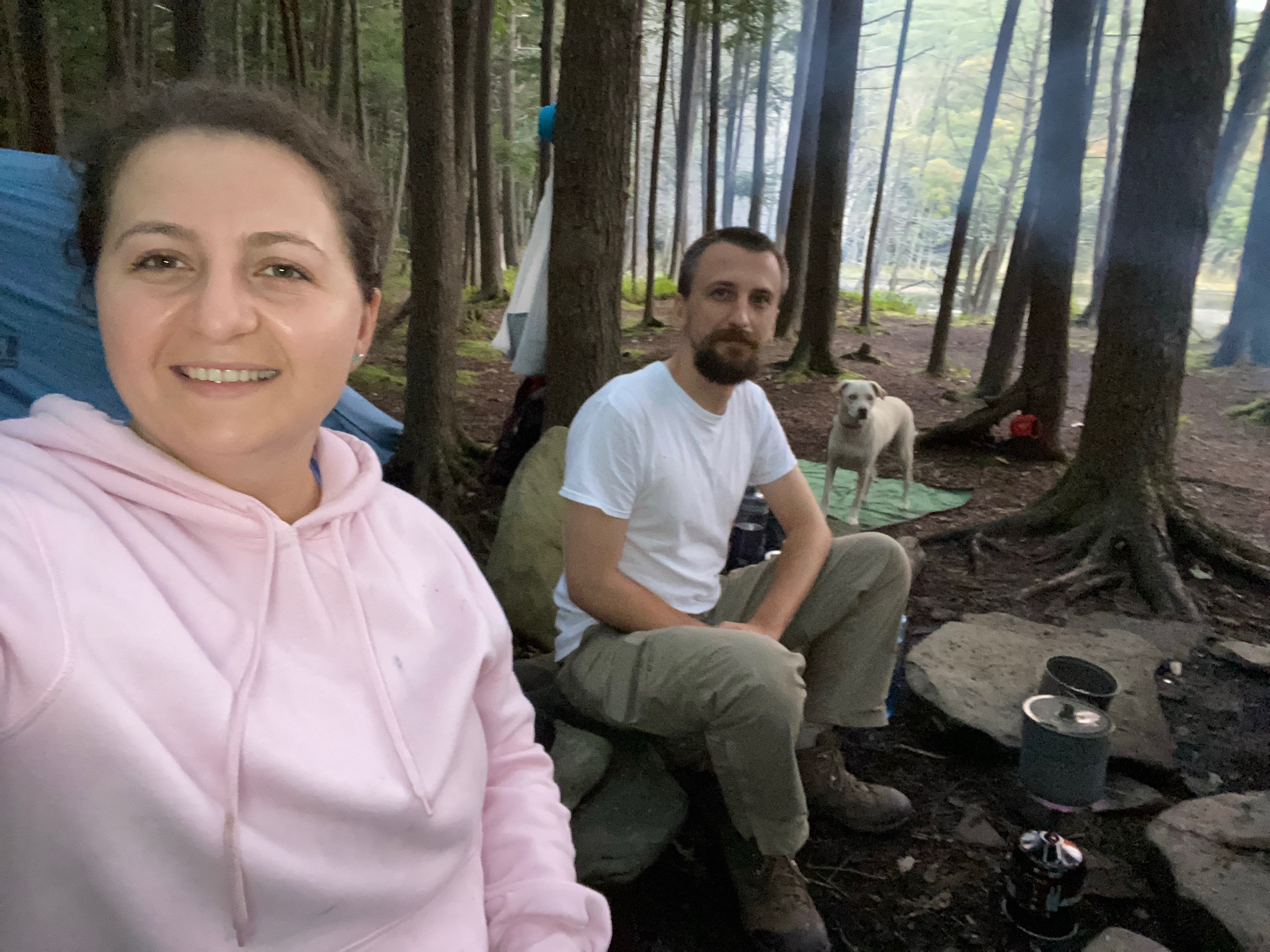 Camping in the woods with our dog